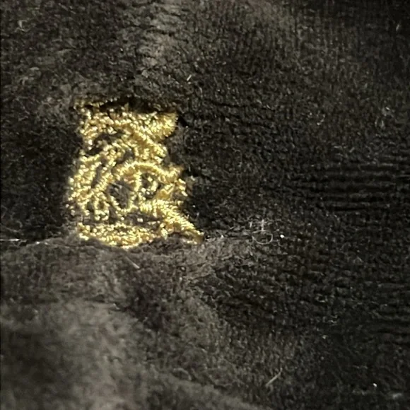 RARE! Juicy Doggy Couture Family Crest Velour Hoodie